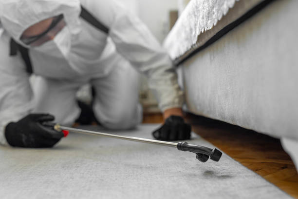 Professional Cockroach Control technician working in Sumner County County, KS
